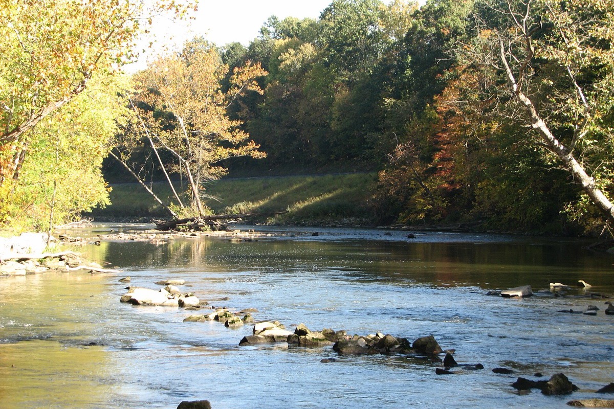 The Cuyahoga River running shallow over stone in early autumn, wooded banks turning colour on both sides and a low gravel bar breaking the current in the foreground.