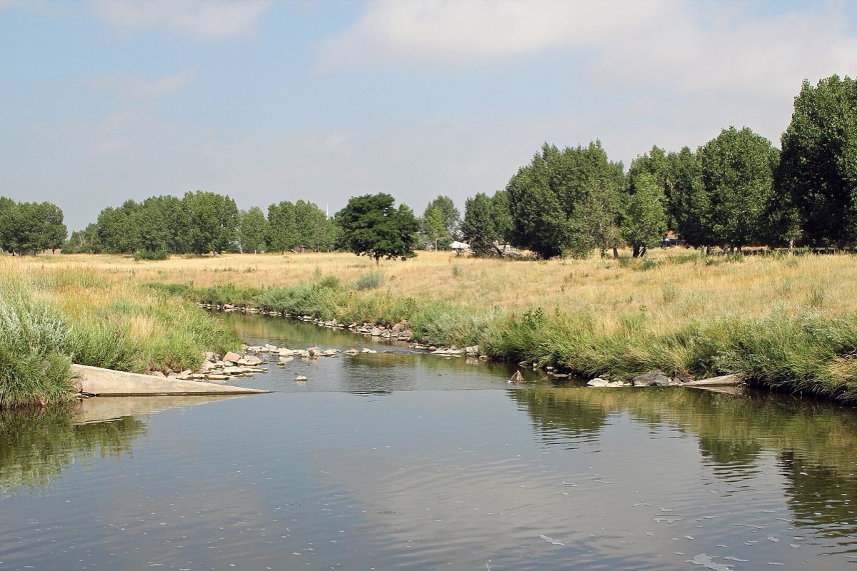 A slow creek running through Aurora between banks of dry prairie grass, a line of mature cottonwoods along the far side and open Colorado sky above.