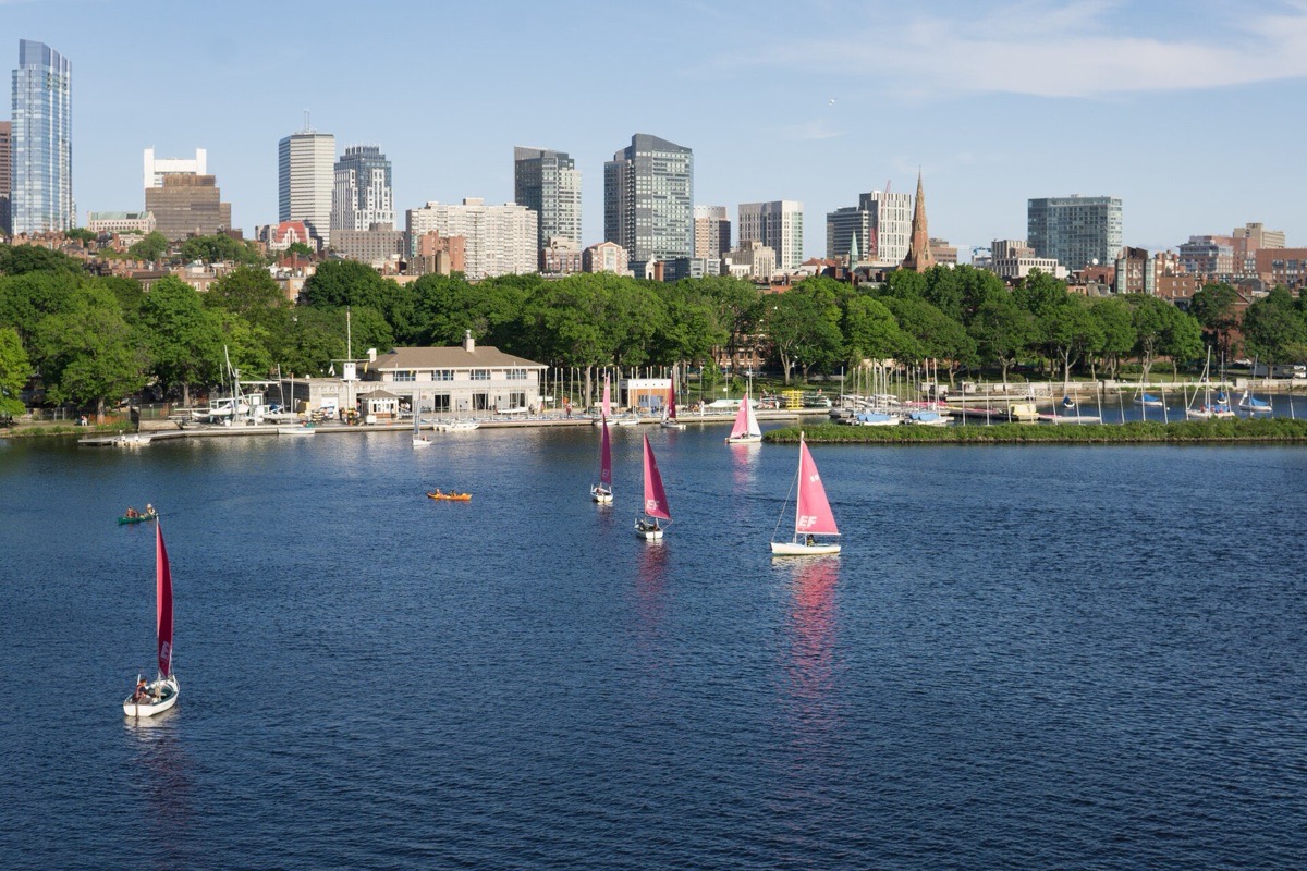 Small sailing boats with red sails out on the Charles at Boston, the tree lined bank behind them and the office towers of the city standing above the trees under a bright sky.