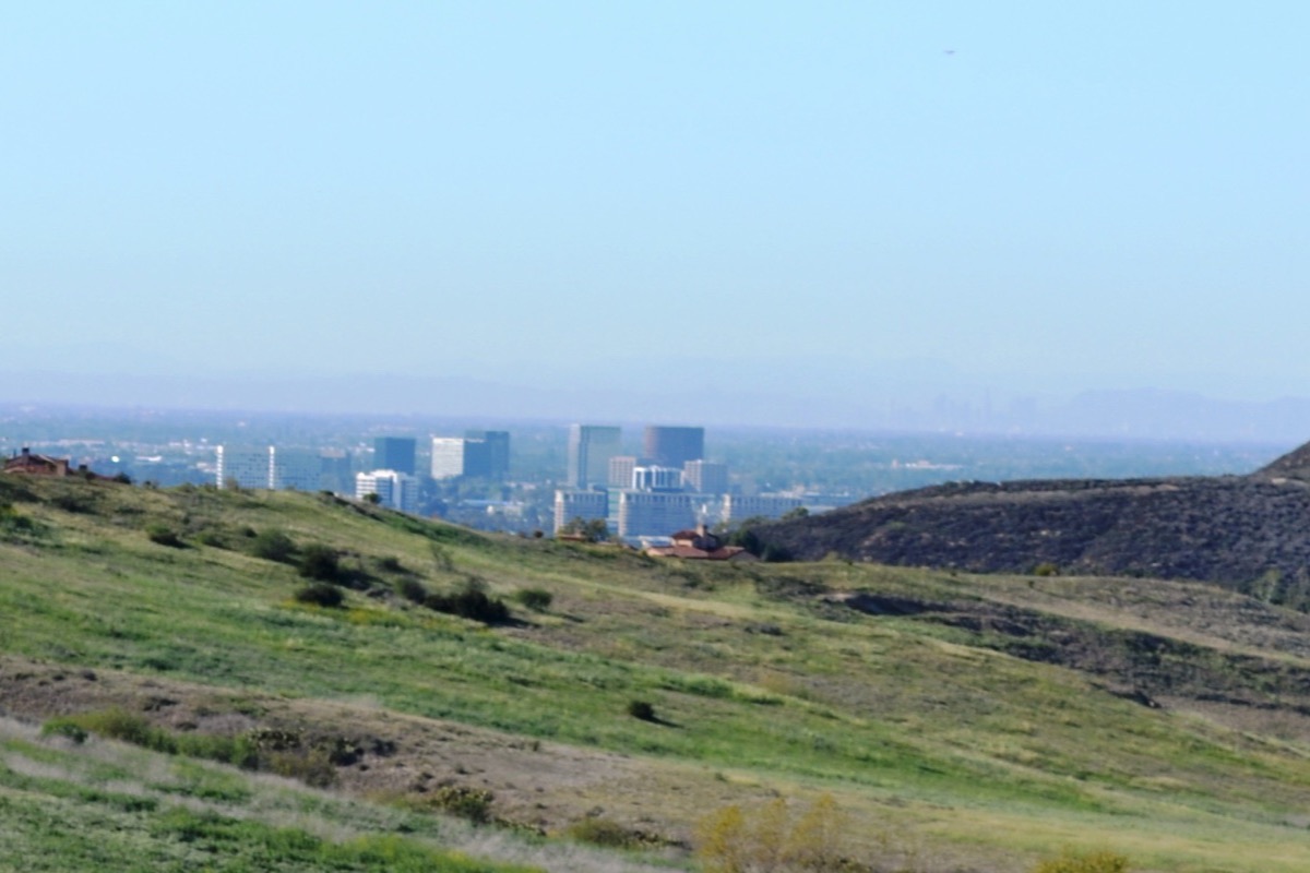 Green open hills and canyon grass in the foreground above Irvine with the office towers of the business centre standing small and pale in the flat distance beyond them.