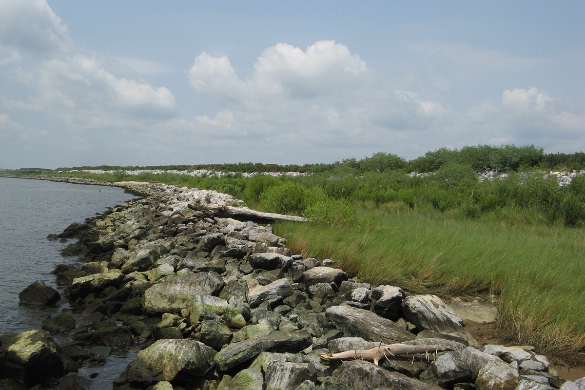 A rock breakwater shoreline on Mobile Bay, pale boulders and bleached driftwood running down into calm water on the left, marsh grass and low green scrub on the right, under a blue sky with scattered white cloud.
