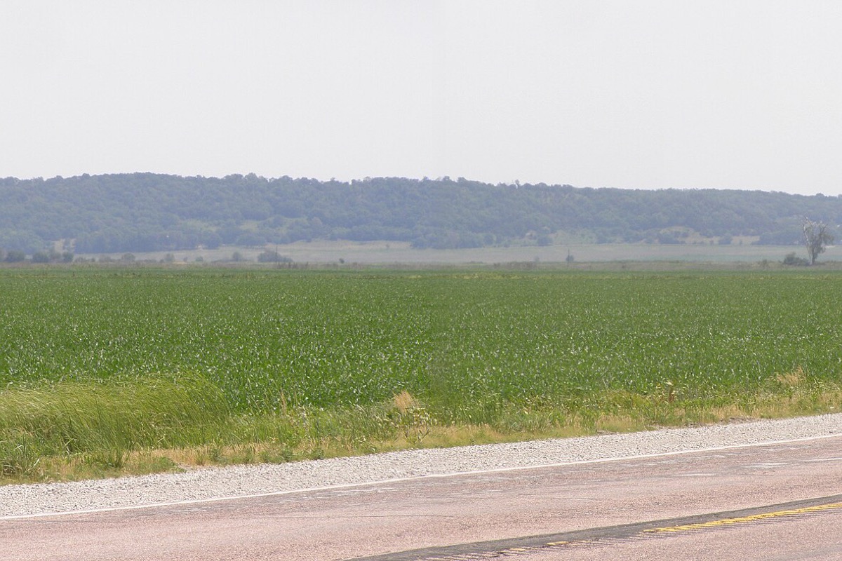 A flat green crop field running from a gravel road shoulder back to a long line of wooded bluffs along the Missouri valley, under a pale summer sky.