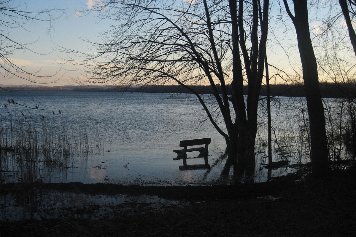 A lake at dusk in late winter, bare trees leaning over water that has risen around a half submerged bench, dry reeds along the near shore and a low wooded skyline beyond.