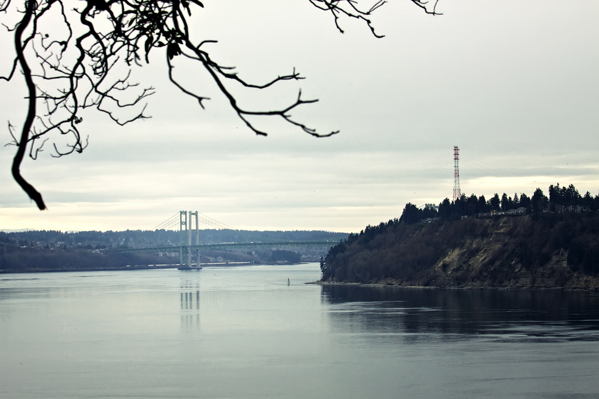 The Tacoma Narrows on a grey winter afternoon, a green suspension bridge spanning the channel, a wooded bluff carrying a red and white radio mast on the right, and bare branches framing the top of the frame.