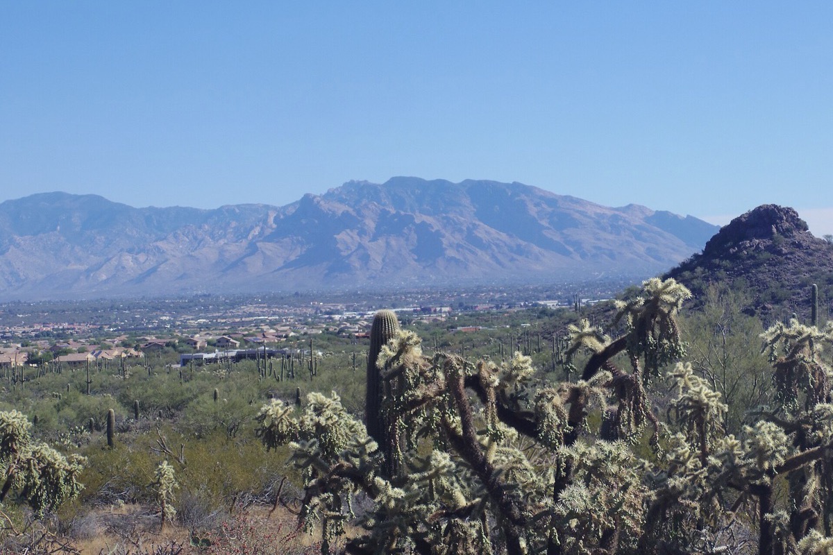 Cholla and saguaro on a rocky slope in the foreground with the long ridge of the Santa Catalina mountains standing across the whole background above Tucson.