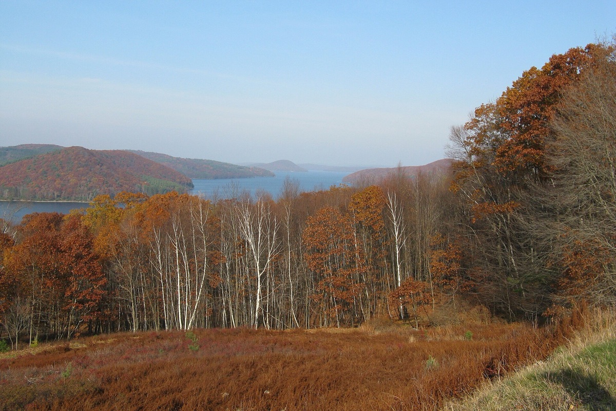 A large reservoir in autumn seen from a wooded hillside, bare birch trunks among orange and russet oaks in the foreground and low forested hills wrapping the far shore.