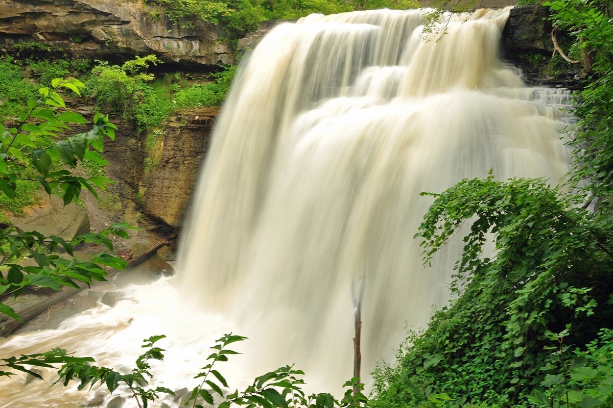 A wide Ohio waterfall dropping in two white steps over a shelf of layered rock after heavy rain, dense green summer woodland crowding both sides of the gorge.