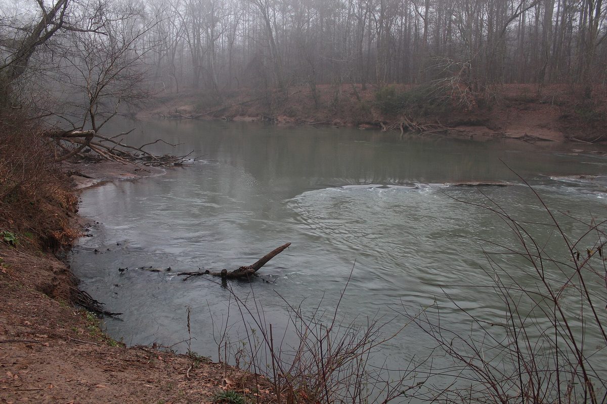 Fog hangs over a river bend in Atlanta's bare winter woods, a fallen log jutting from the shallows beside an eroded sandy bank.