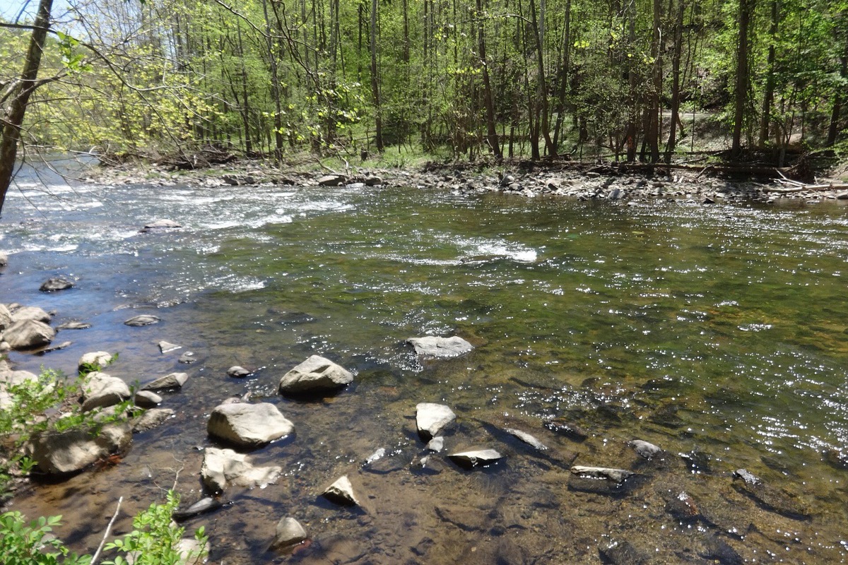 A shallow stony stream running fast over pale rocks in a Maryland valley near Baltimore, bare spring woodland climbing the bank on the far side.