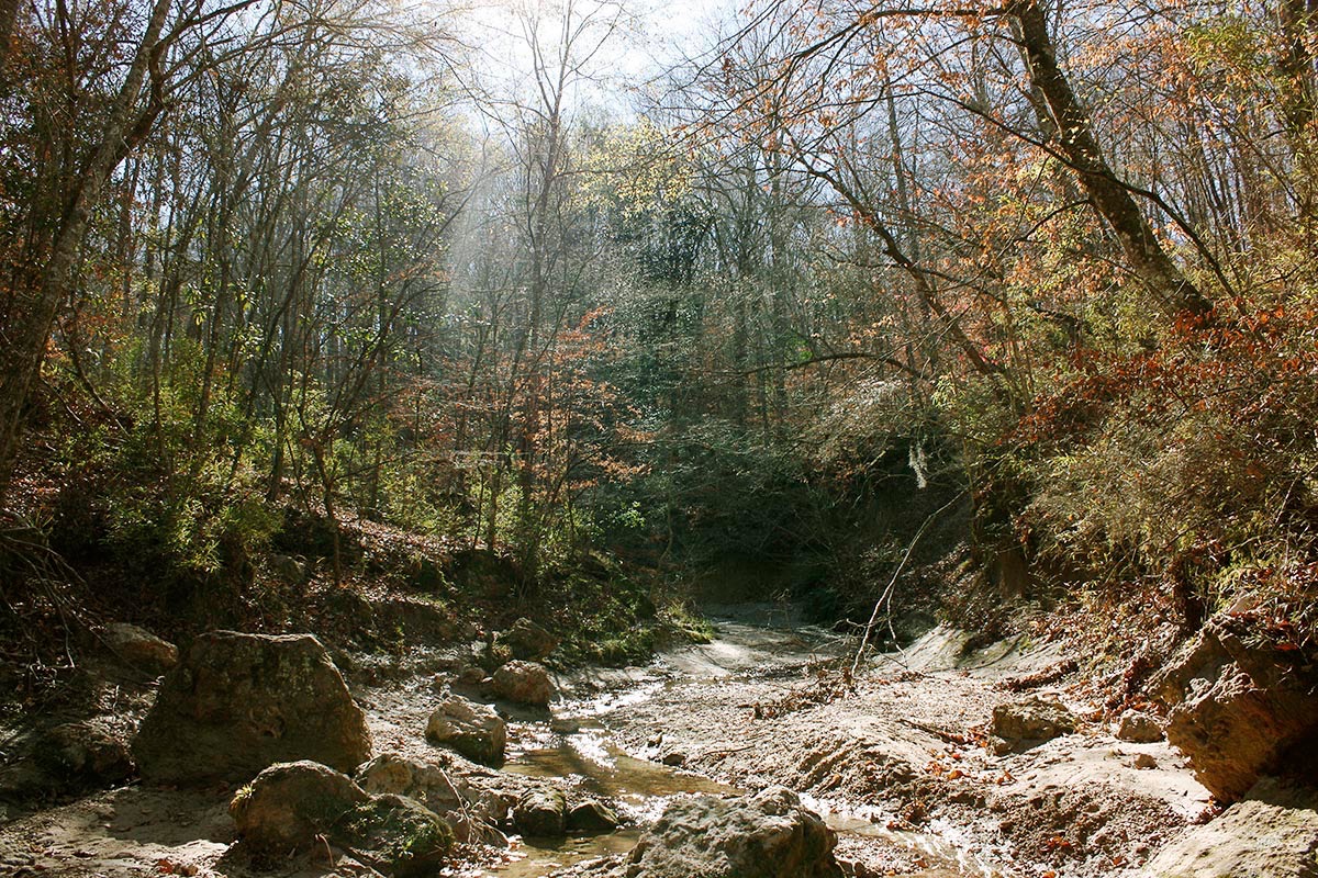 A dry Louisiana creek bed of pale gravel and fallen rock running through steep wooded banks, autumn light coming down through bare and half turned trees.