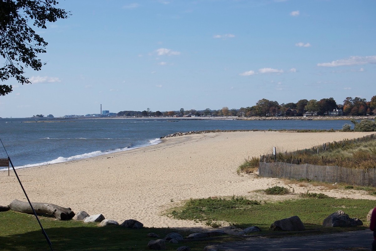 A wide sandy Connecticut beach curving away along the shore of the Sound, a low wooden fence along the dune line and a wooded far shore beyond the flat blue water.