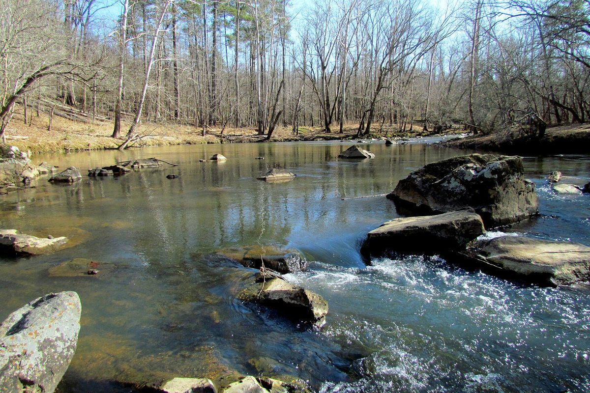 Water slides over rock ledges in a shallow Durham river, its banks lined with bare trees and brown leaf litter under a clear sky.