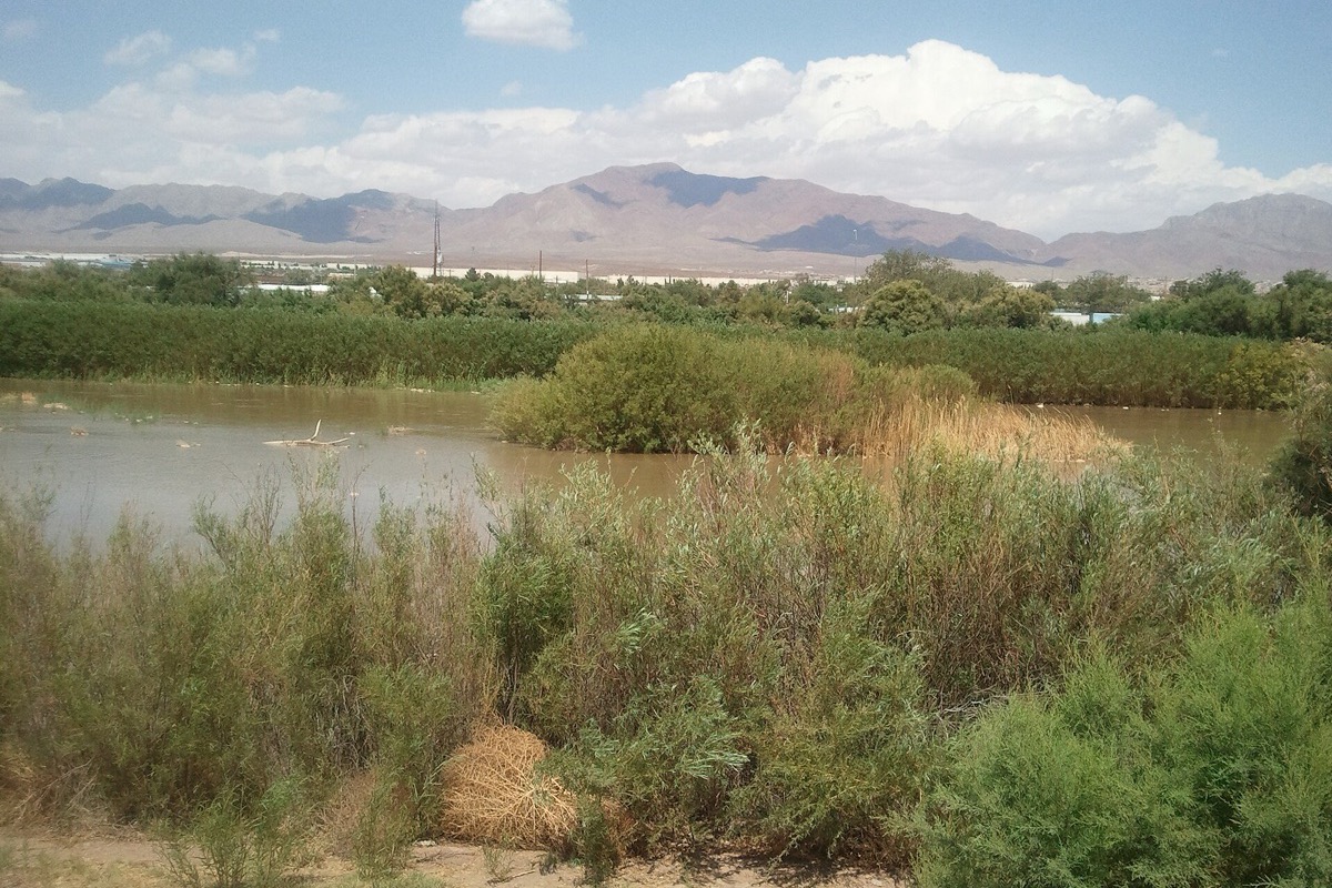 The Rio Grande valley above El Paso, still green water with heavy reed beds along both banks, low farmland beyond and a bare desert range along the horizon.