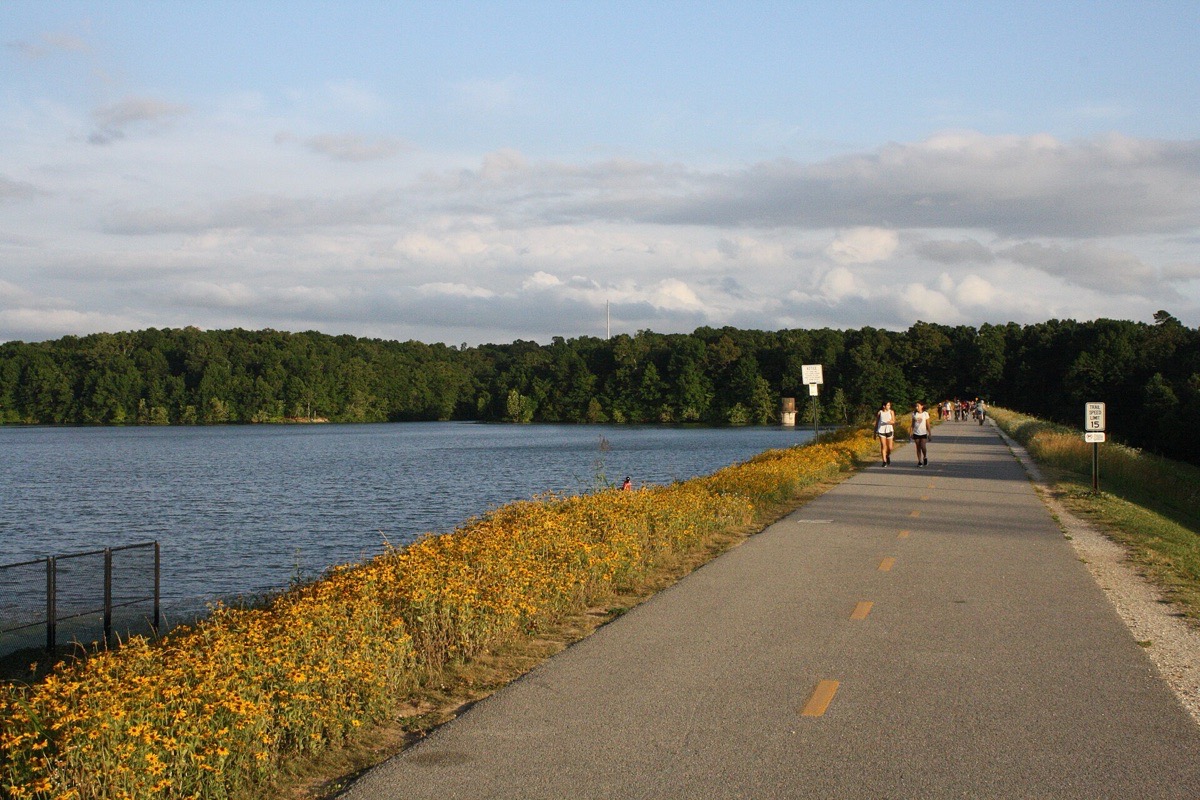 A paved trail running beside an Arkansas lake with a broad bank of yellow flowers along one side, a wooded far shore and scattered white cloud above.