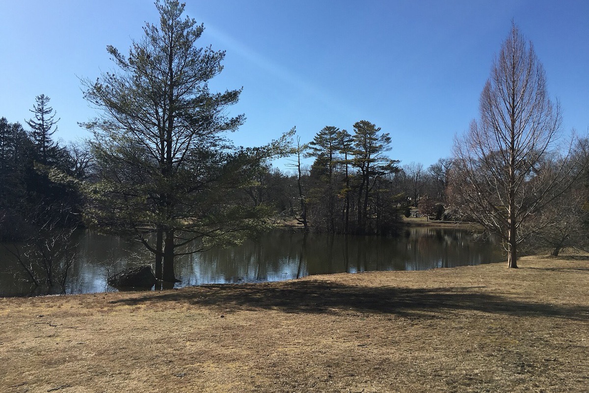 A small Michigan lake in early spring, bare hardwoods and a group of dark pines standing along the far bank under a clear blue sky with the grass still winter brown.