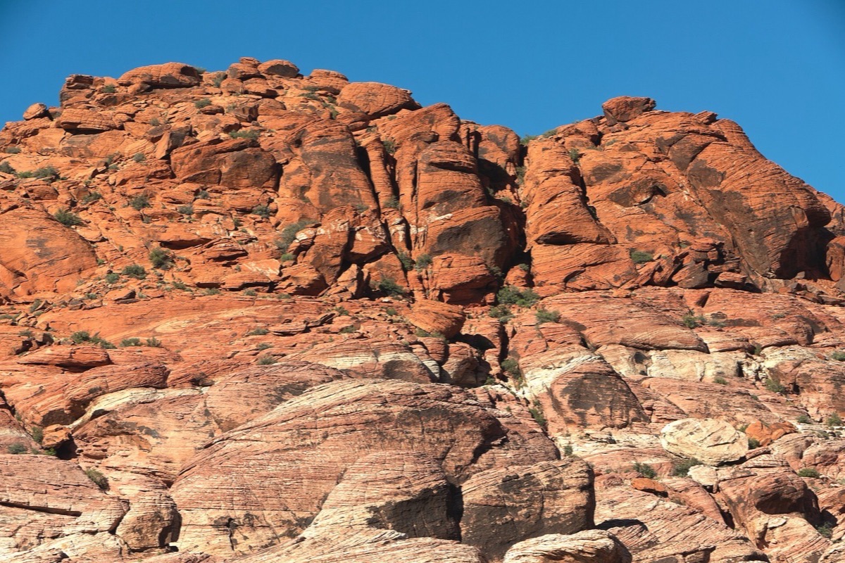 A wall of banded red and cream sandstone rising in rough terraces west of Las Vegas, low desert scrub growing out of the ledges under a deep blue sky.