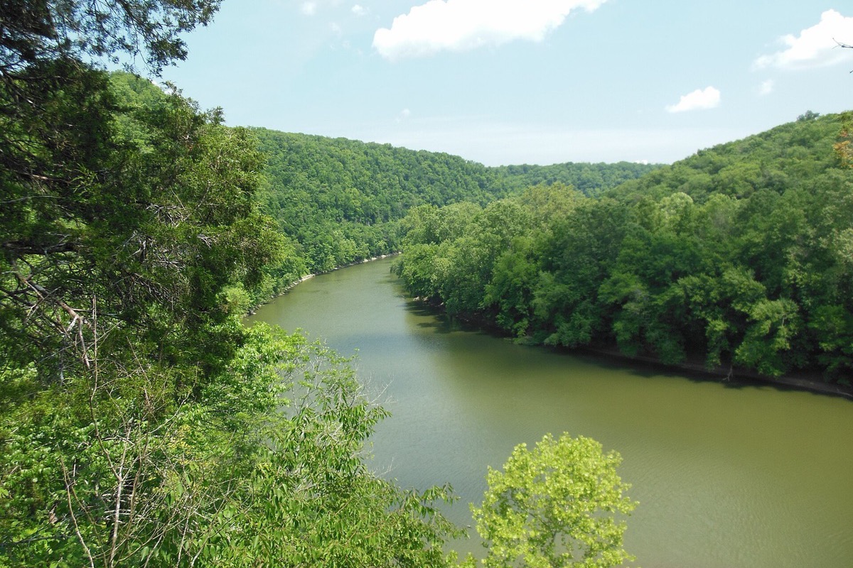 The Kentucky River running green and slow through a wooded gorge below Lexington, steep forested slopes rising on both sides under a blue sky.