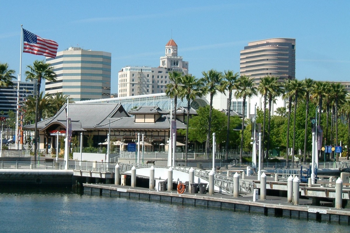 The Long Beach waterfront with a marina in the foreground, palms along the promenade and the pale towers of the city standing behind them under a clear sky.