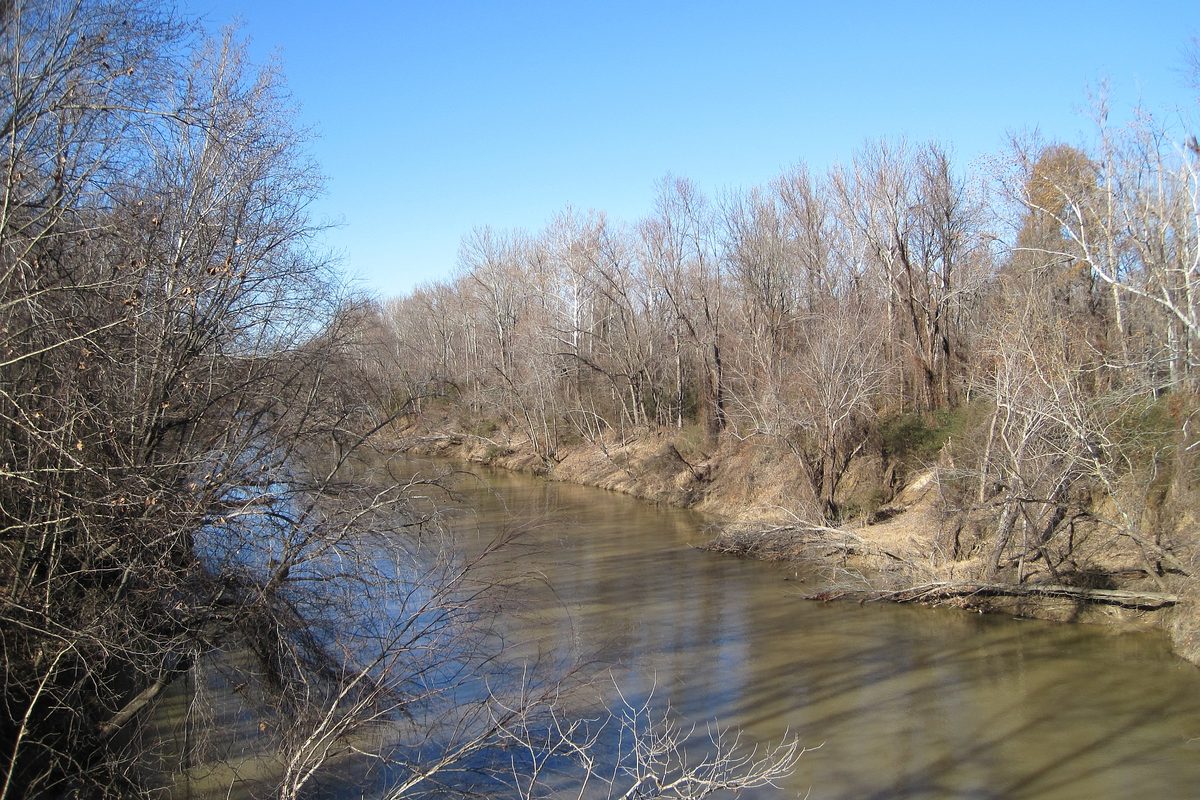 Memphis, a muddy brown river bending between steep banks of bare leafless trees under a clear blue sky.