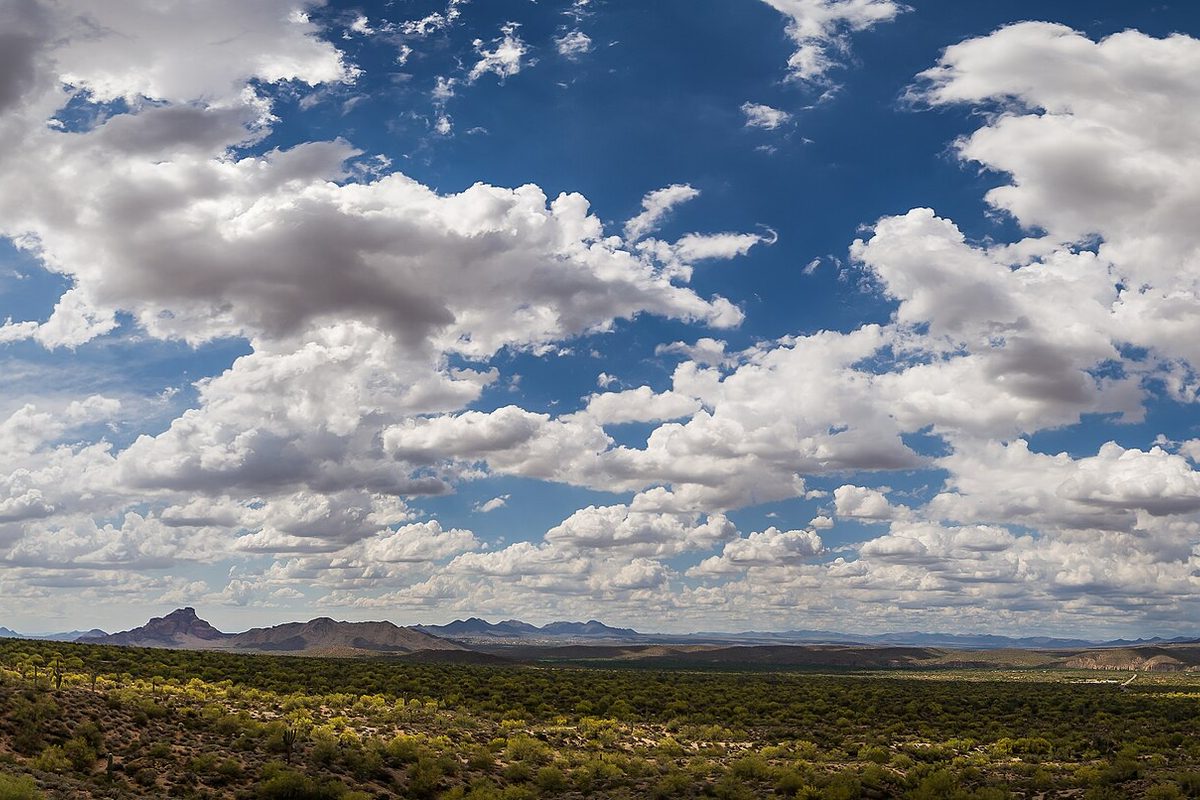 Mesa, green Sonoran desert scrub and scattered saguaros running out to low rocky mountains beneath towering cumulus clouds.