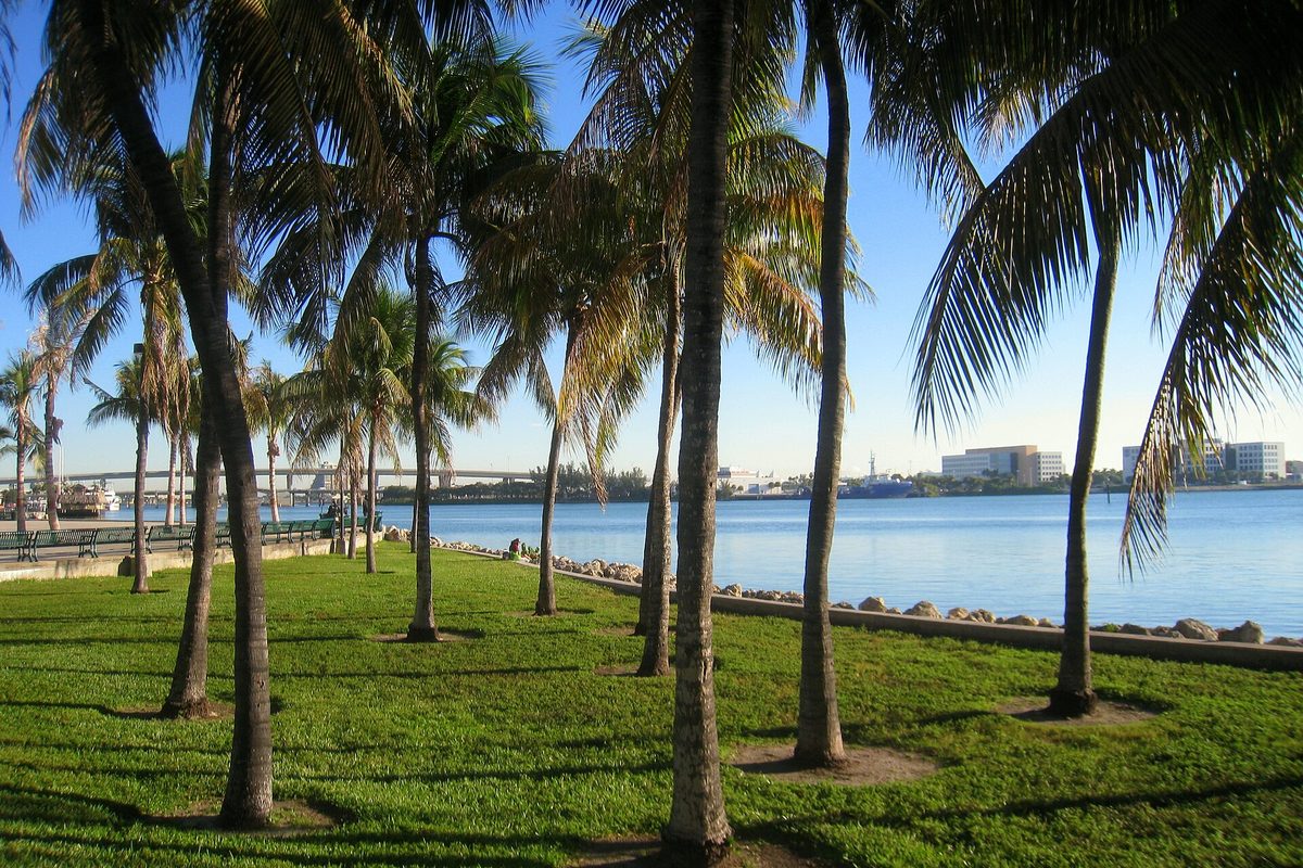 Miami, coconut palms shading a green bayfront lawn along Biscayne Bay, with a causeway, a ship and port buildings across the water.