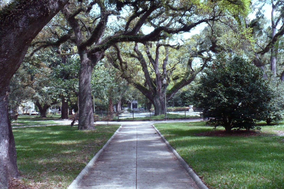 A green square in Alabama under old live oaks hung with Spanish moss, a paved path running through the middle of it between mown lawns.