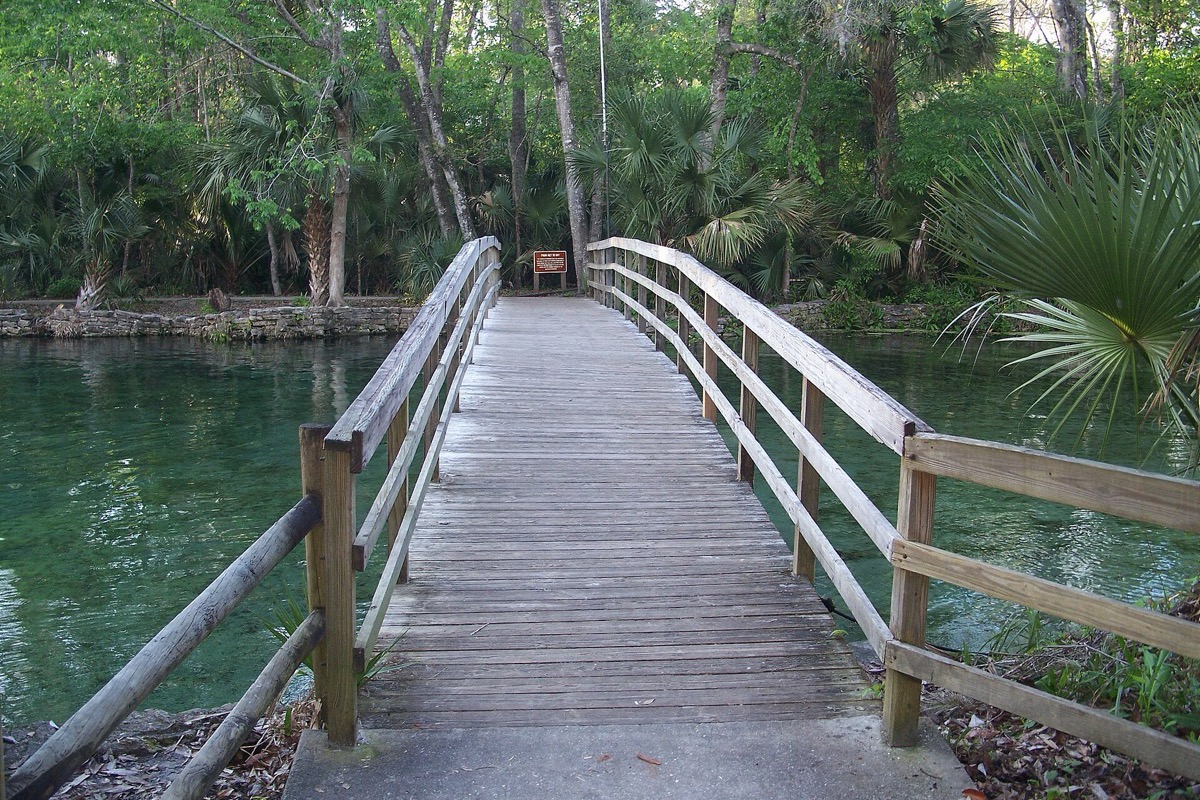 A timber footbridge crossing the clear blue green water of a Florida spring run near Orlando, palmetto and hardwood forest closing in on both sides.