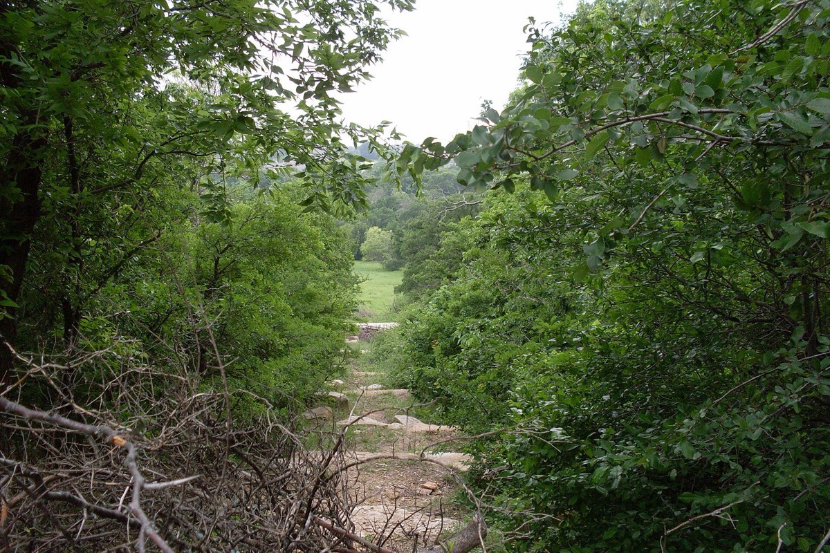 A dry limestone creek bed running through dense green woodland in a Plano nature preserve, with a mown clearing visible through the trees at the far end.
