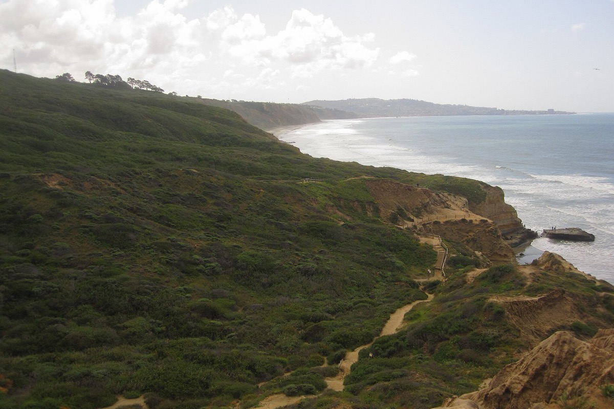 The San Diego coast from the cliff top, eroded sandstone bluffs and low green scrub dropping to a long pale beach with the shoreline running north into haze.