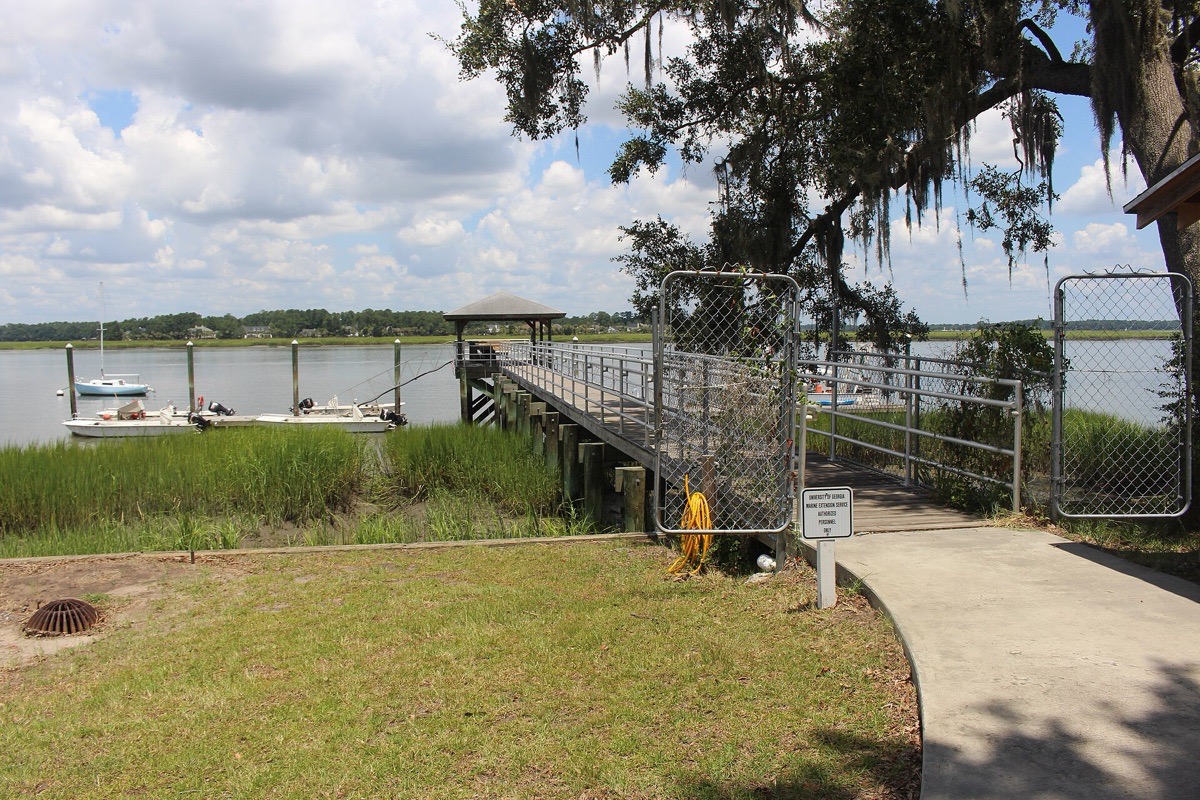 A metal walkway running out from a mown bank to a dock on a Georgia tidal river, small boats moored alongside, marsh grass in the foreground and Spanish moss hanging into the frame.