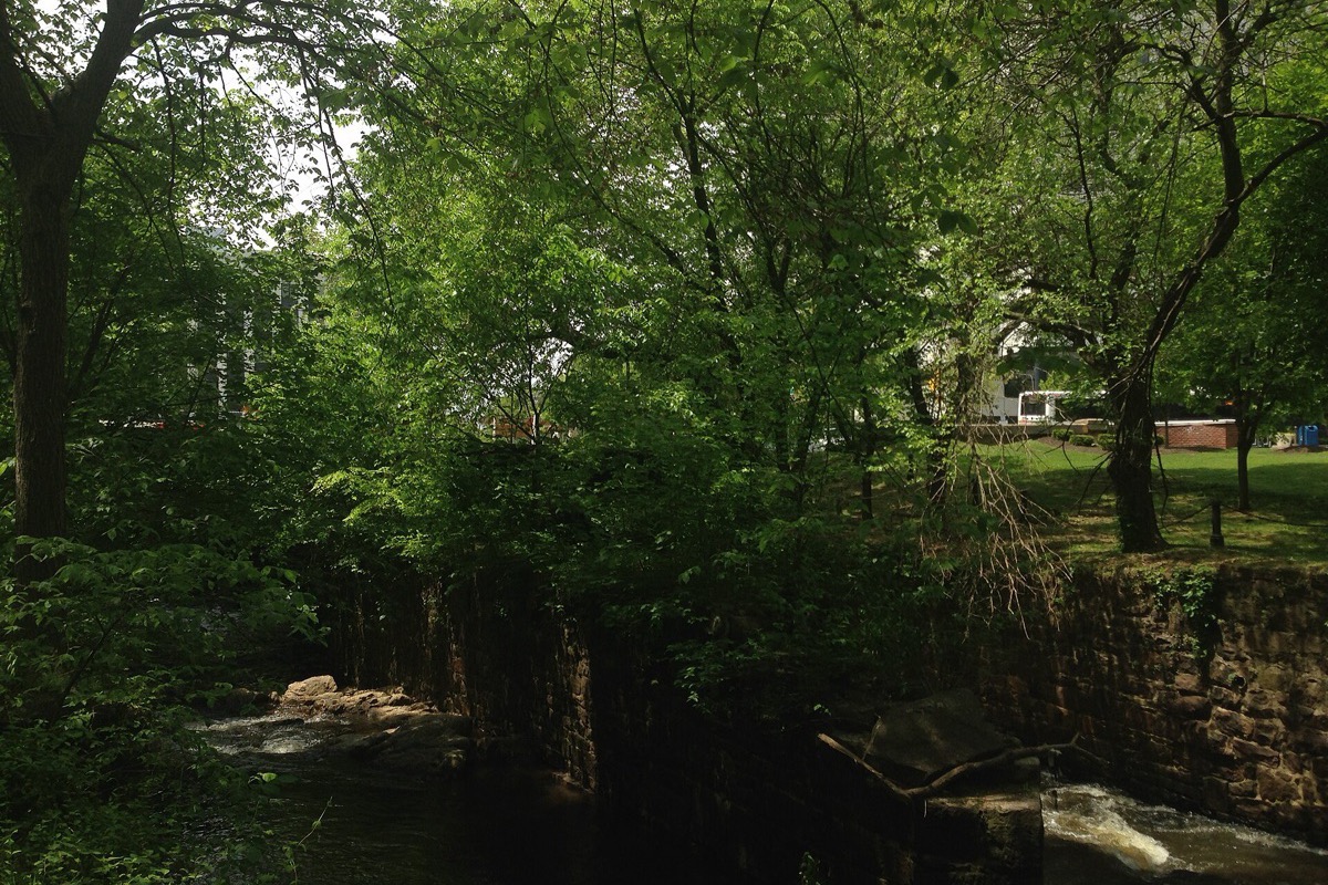 A New Jersey creek running shallow over a rock bed between steep green banks, dense spring foliage overhanging the water on both sides.