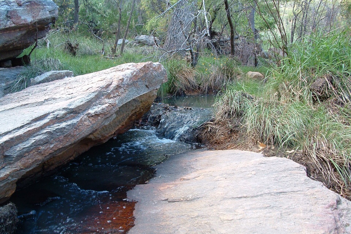 A clear creek running fast between pale water worn boulders in a canyon above Tucson, bunch grass and desert trees along both banks.