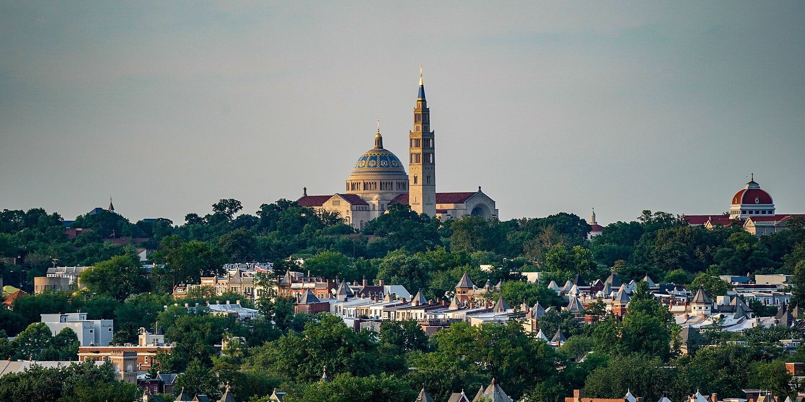 Washington, DC rowhouse rooftops among dense green summer trees, a mosaic-domed basilica and its tall bell tower rising above the treeline