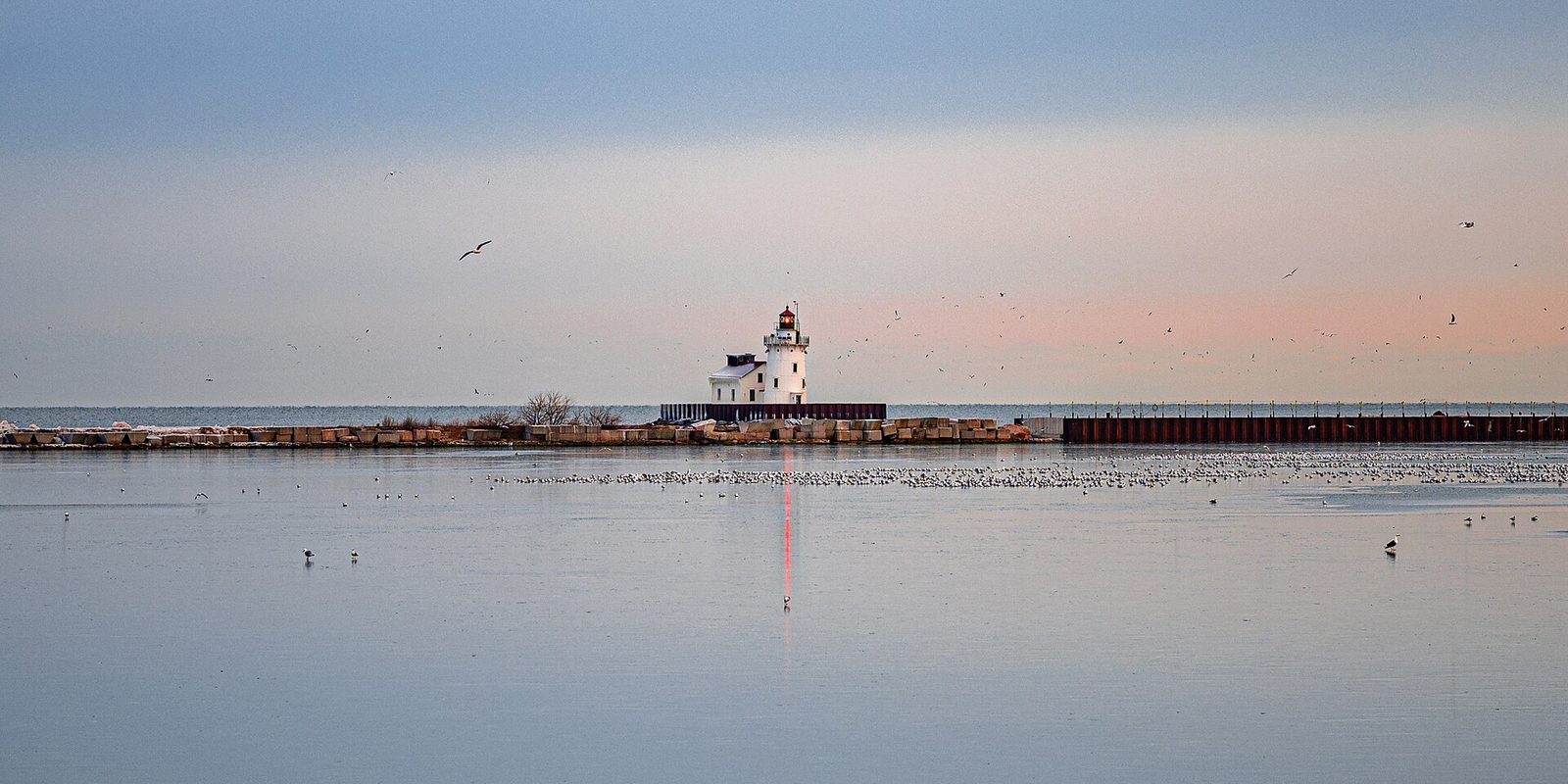 A white lighthouse with a red lantern room on a stone breakwater, gulls scattered across still pale water under a pink dawn sky.