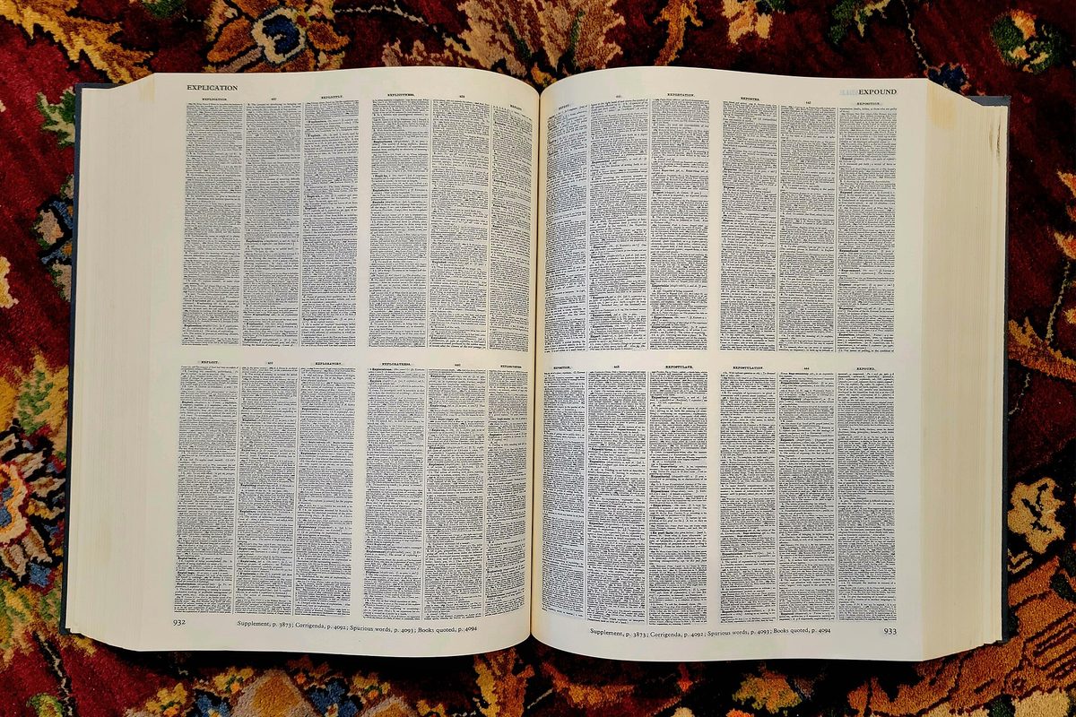 A thick dictionary lying open to densely printed columns, its cream pages spread flat on a red and gold patterned wool rug.