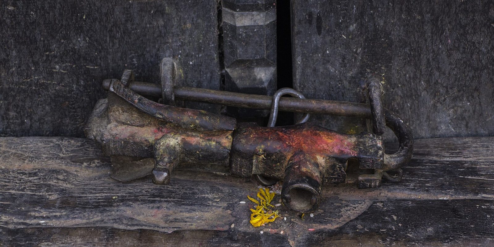 A heavy rusted iron latch and padlock bolted across weathered dark wood, streaked with red pigment, with yellow marigold petals below.