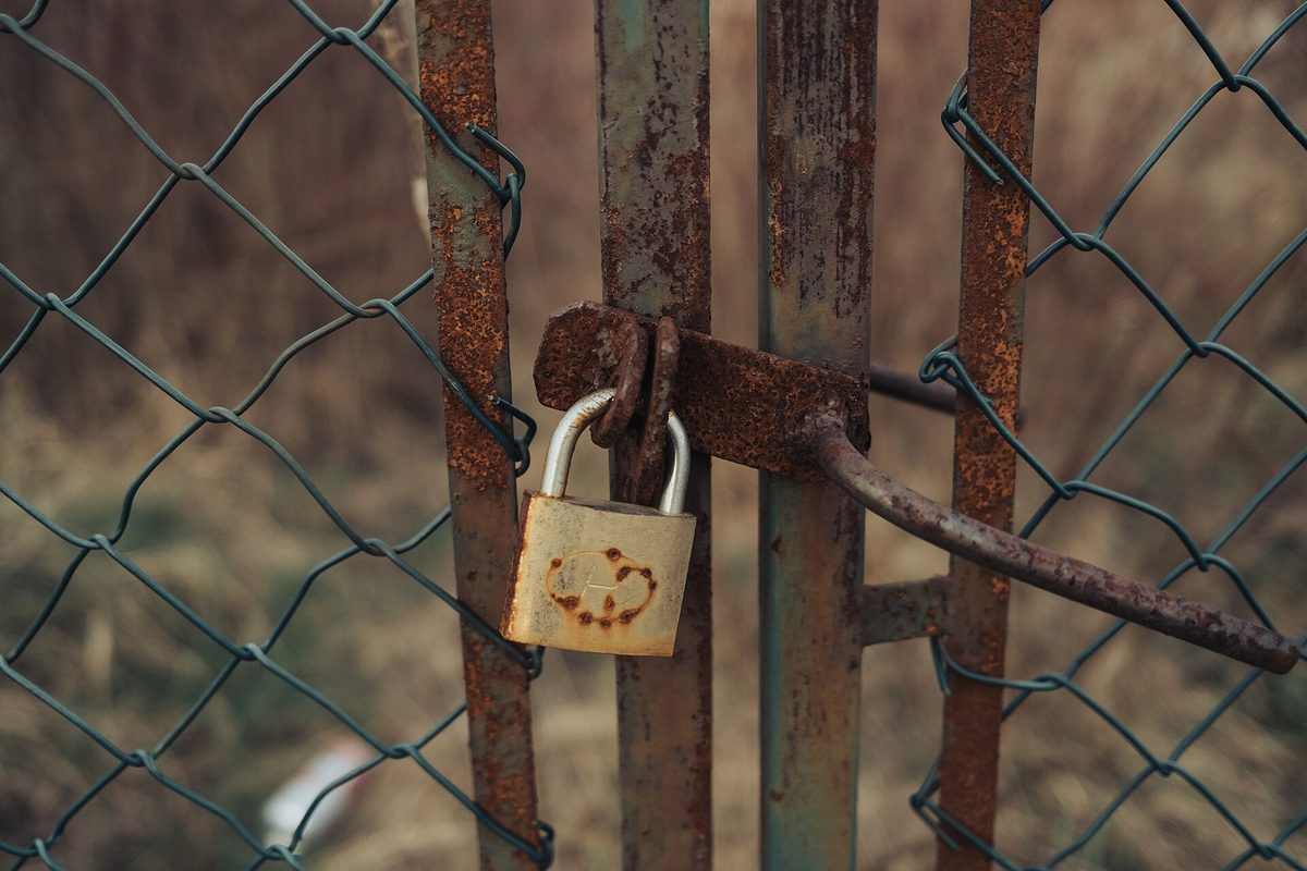 A rusted brass padlock and corroded hasp holding a metal gate shut behind a green chain link fence.