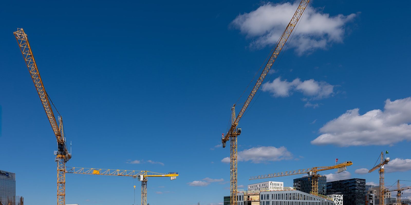 Four yellow tower cranes standing over part-built offices against a clear blue sky
