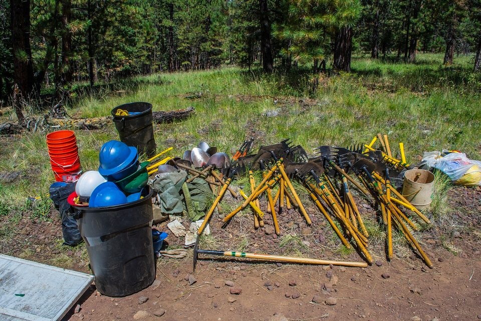 Rakes, shovels, hard hats and buckets laid out on bare ground at the edge of a pine woodland