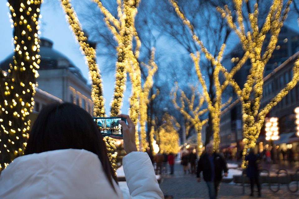 Someone seen from behind raising a phone to photograph trees wrapped in lights along a busy street at dusk