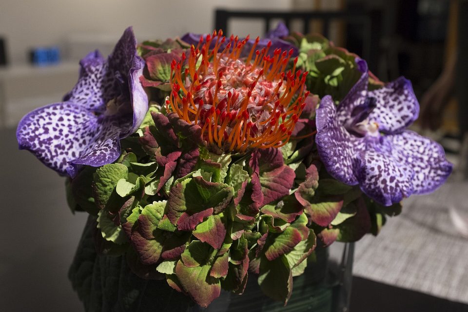 Close-up of a finished arrangement with an orange pincushion protea, purple orchids and burgundy leaves