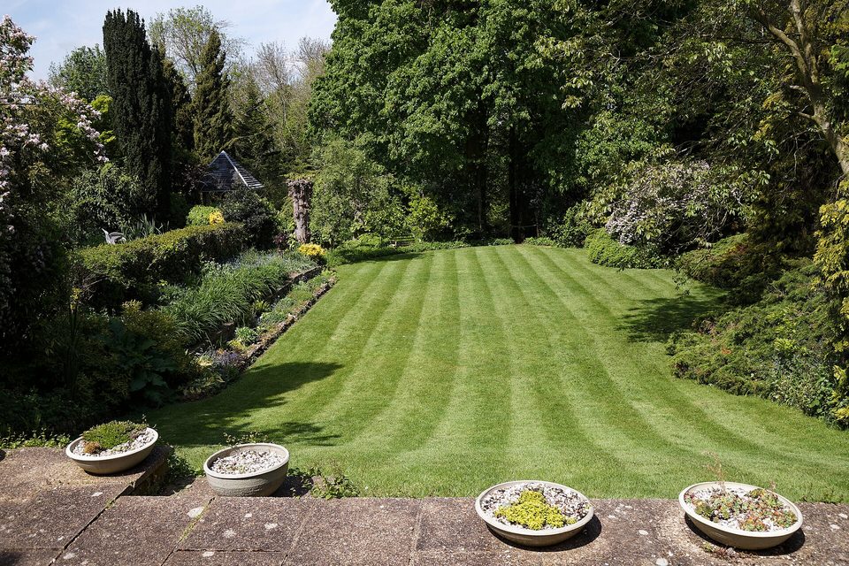 A striped mown lawn behind a house, bordered by trees, shrubs and shallow stone planters on a patio wall