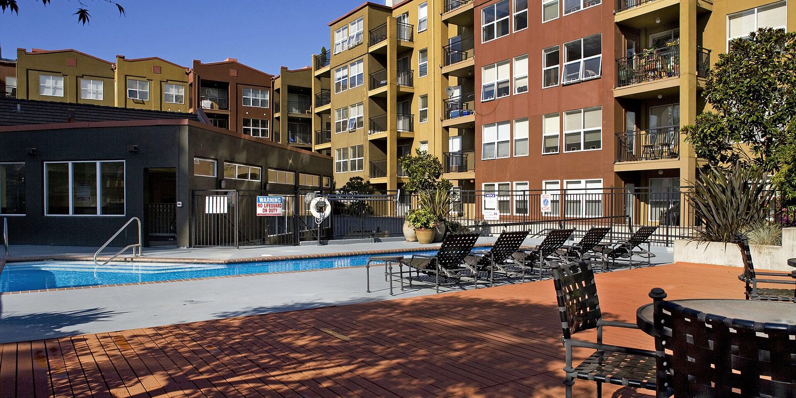 Courtyard swimming pool and wooden deck with lounge chairs beside multi-storey apartment buildings with balconies