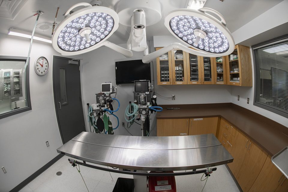 Empty veterinary surgical suite with a stainless steel table, twin overhead lights and anesthesia equipment