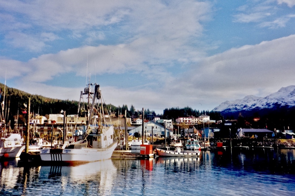 An Alaska fishing harbour on a bright day, working boats and masts crowded along the floats, low wooden buildings behind them and snow still lying on the mountains across the water.
