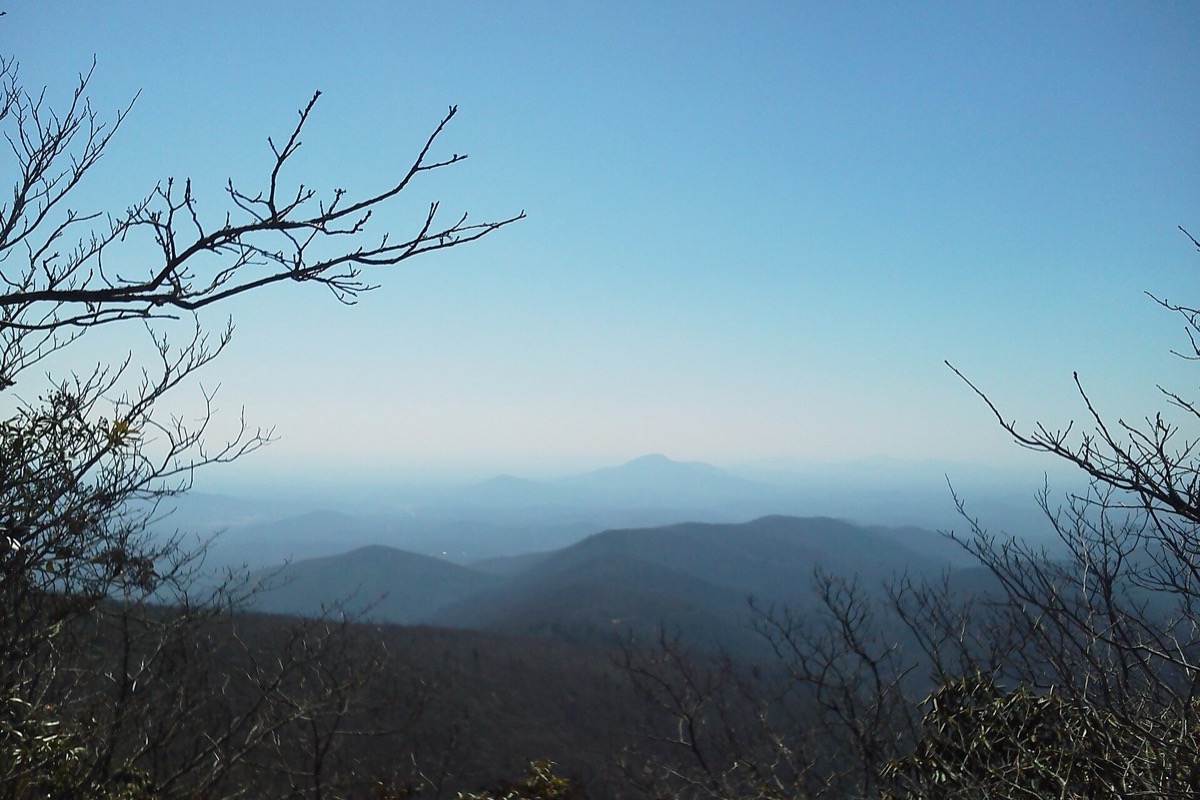 Ranks of blue north Georgia ridges fading one behind another into the haze, seen through the bare branches of a tree on the summit in the foreground.