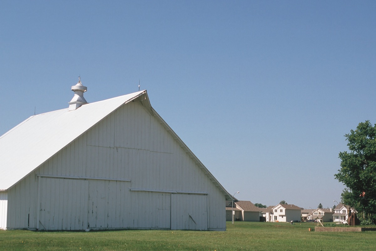 A large white Iowa barn with a curved roof and a ventilator on the ridge, standing on mown grass under a clear sky, with newer houses visible along the edge of the field beyond.
