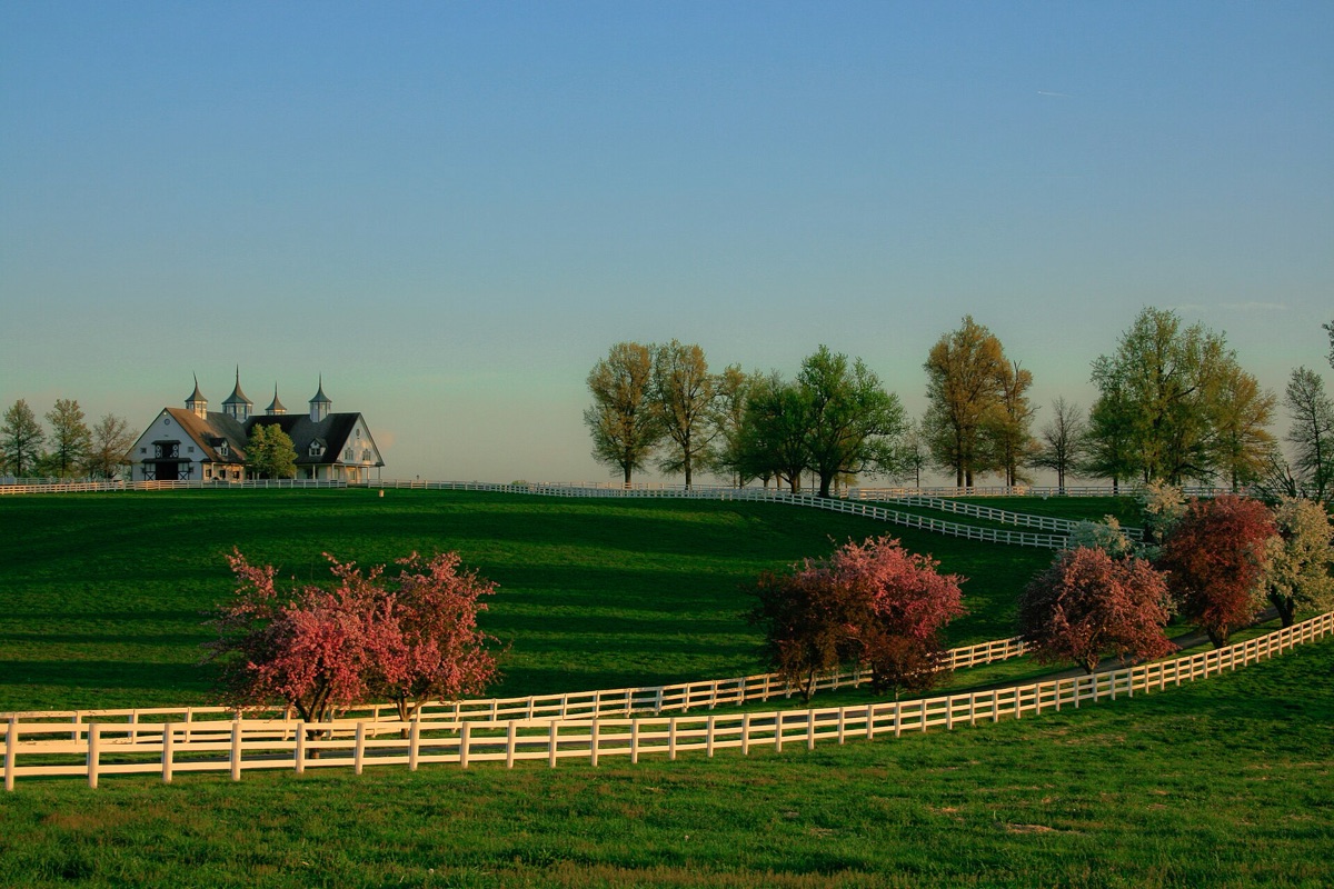 A Kentucky horse farm on a bright autumn morning, a pale plank fence curving away over close cropped green pasture, red leaved trees along the line of it and a slate roofed farmhouse among trees beyond.