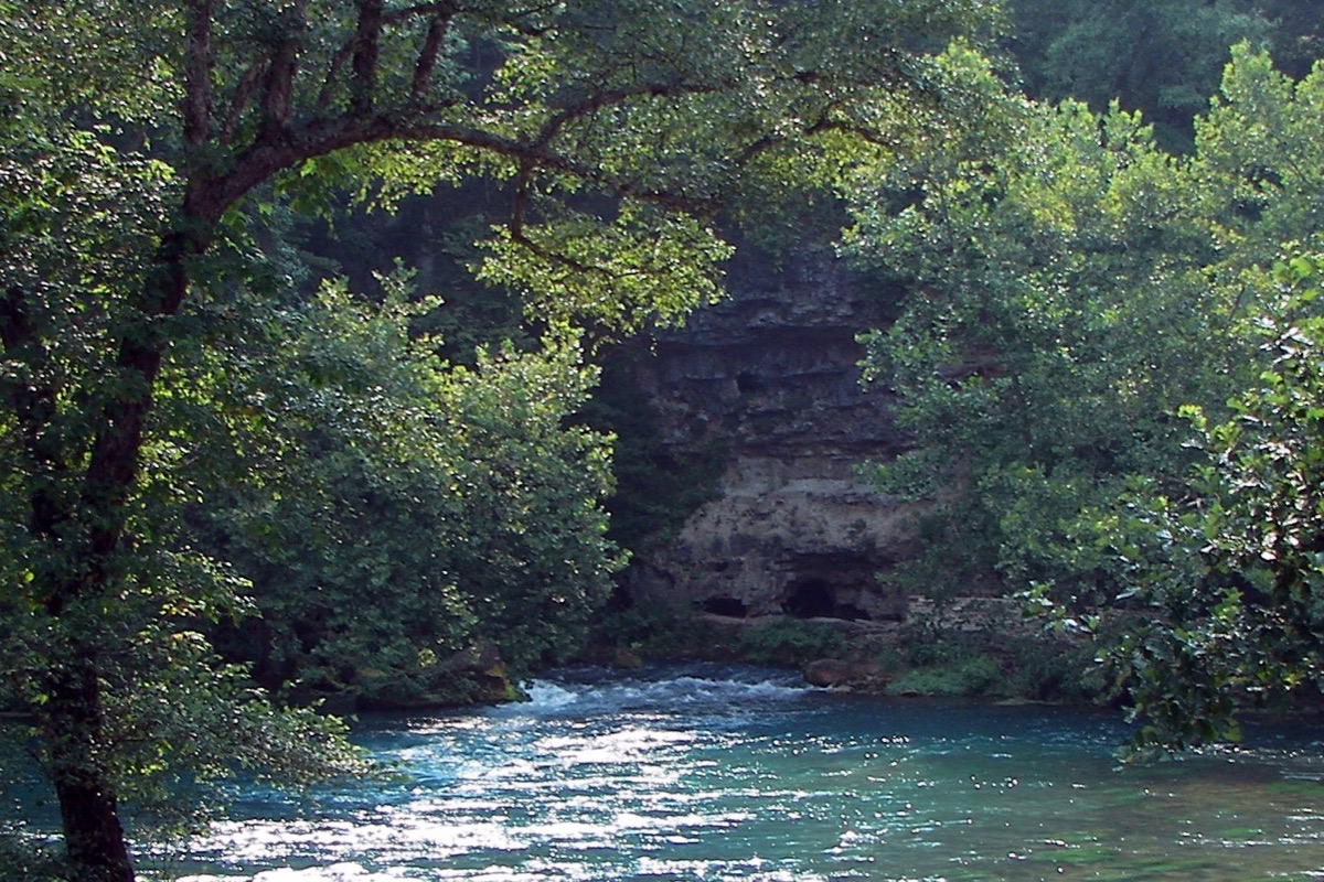 A clear Missouri spring branch running fast and blue out from under a limestone bluff, with a dark cave mouth in the rock face and hardwoods leaning out over the water.