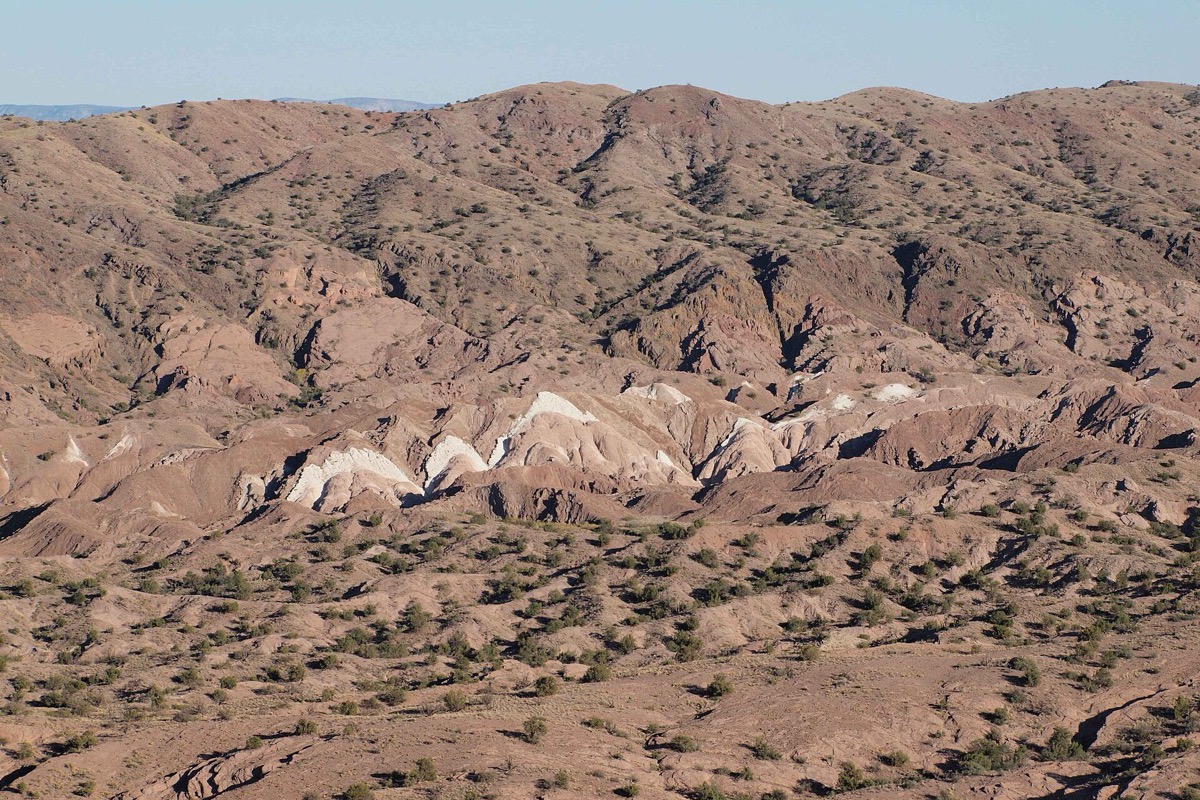 Eroded New Mexico badlands running to the horizon in folded pink and white clay, scattered dark scrub in the gullies and a pale blue sky above.
